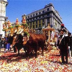 Xtrallusion offers characteristic Bed and Breakfast, B&B, Guest House, Hotel, Albergo and Country Lodge accommodation in Italy. Plus independent self-guided Walking, Adventure, Activity, Skiing and Paragliding Holiday itineraries on the Italian Rivieras, in the Italian Lakes, in the Italian Alps and in some of the most beautiful corners of Italy.